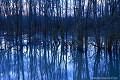 
<br><br>Photo réalisée en France, dans l'Allier (Auvergne)<br><br> Ripisylve
Crue
2007
l'Allier
France
Auvergne
Allier
 