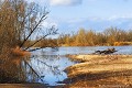 <font face="verdana"><font size="2"><b><center>dans un Espace Naturel sensible</font face=" verdana"></font></b></center> <br><br>Réseau Natura 2000
<br><br>Photo réalisée en France, dans l'Allier (Auvergne)<br><br>  