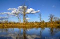 <font face="verdana"><font size="2"><b><center>dans un Espace Naturel sensible</font face=" verdana"></font></b></center> <br><br>Réseau Natura 2000
<br><br>Photo réalisée en France, dans l'Allier (Auvergne)  