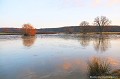 <br><br>Photo réalisée en France, dans l'Allier (Auvergne)<br><br> Étang
Bocage
bourdonnais
France
Allier
Auvergne
 