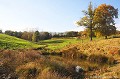 <br><br>Photo réalisée en France, dans l'Allier (Auvergne)  