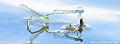 <br><br>Autre nom français de la Naïade aux yeux bleus : Agrion à longs cercoïdes
<br>Nom anglais : Goblet-marked damselfly
<br><br> Agrion 
Naïade aux yeux bleux 
Erythromma lindenii 
Goblet-marked damselfly
Tandem 
 