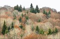 <br><br>Sapins, hêtres et autres feuillus près dOrcival au sud de la Chaine des Puys en hiver.
<br><br>Photo réalisée en France, dans le Puy-de-Dôme (Auvergne)<br><br> Paysage
Parce Naturel Régional
Volcans
Sapins
hêtres
feuillus
Orcival
Chaine des Puys
France
Auvergne
Puy-de-Dôme 