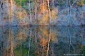 <br><br>Reflet d'un étang du bocage bourbonnais en hiver.
<br><br>Photo réalisée en France, dans l'Allier (Auvergne)<br><br> Miroir
Reflet
étang
bocage bourbonnais
hiver
France
Auvergne
Allier
temps 