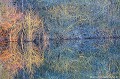 <br><br>Reflet d'un étang du bocage bourbonnais en hiver.
<br><br>Photo réalisée en France, dans l'Allier (Auvergne)<br><br> Reflet
étang
bocage bourbonnais
hiver
France
Auvergne
Allier
temps 