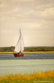 <br><br>Photo réalisée en France, dans la Baie de Somme (Picardie)
<br><br>  