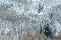 <br><br>Photo réalisée en France, dans l'Allier (Auvergne)
<br><br> Fées
France
Allier
Auvergne 