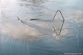 <br><br>Photo réalisée en France, dans l'Allier (Auvergne) cristal
France
Allier
Auvergne 
