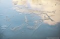 <br><br>Photo réalisée en France, dans l'Allier (Auvergne)  