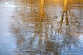 <br><br>Photo réalisée en France, dans l'Allier (Auvergne)  