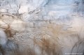 <br><br>Photo réalisée en France, dans l'Allier (Auvergne)  