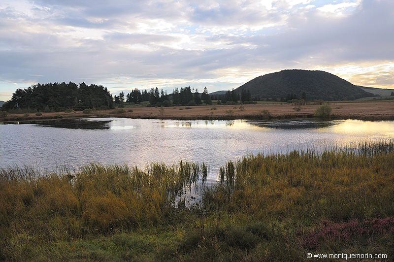 Lac tourbière de la Bourdouze