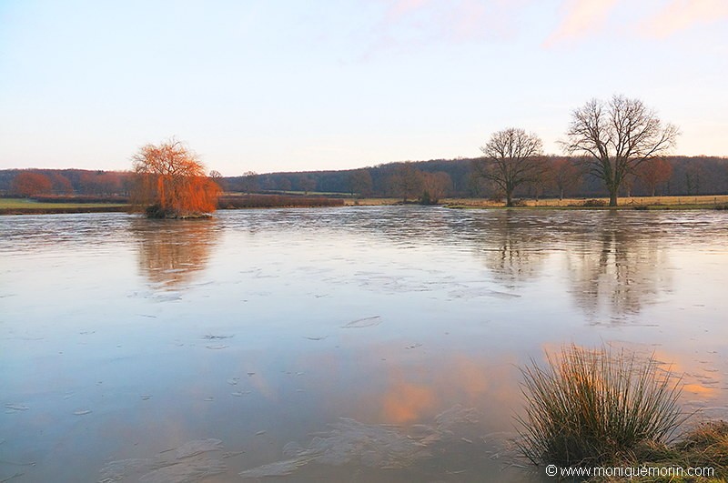Étang du bocage bourbonnais
