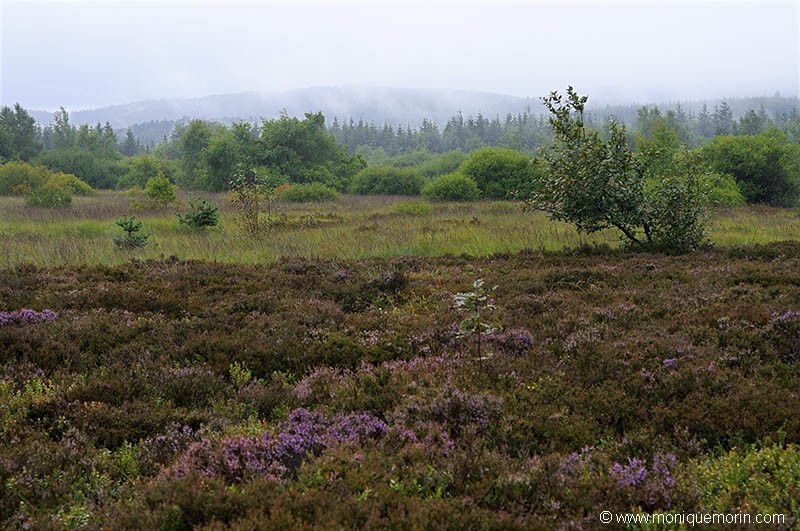 Plateau de la Verrerie