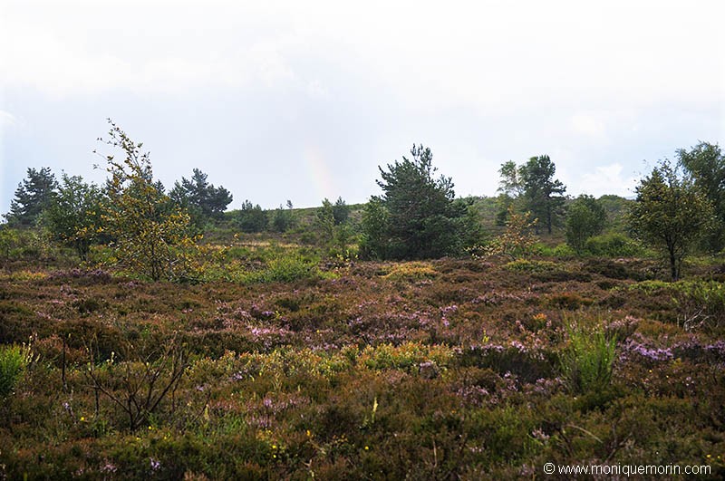 Plateau de la Verrerie