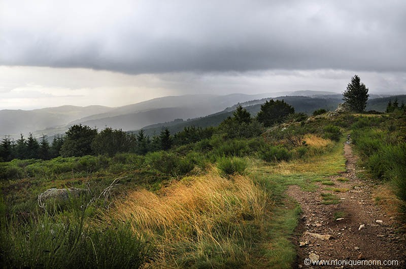Tourbière du plateau de la Verrerie